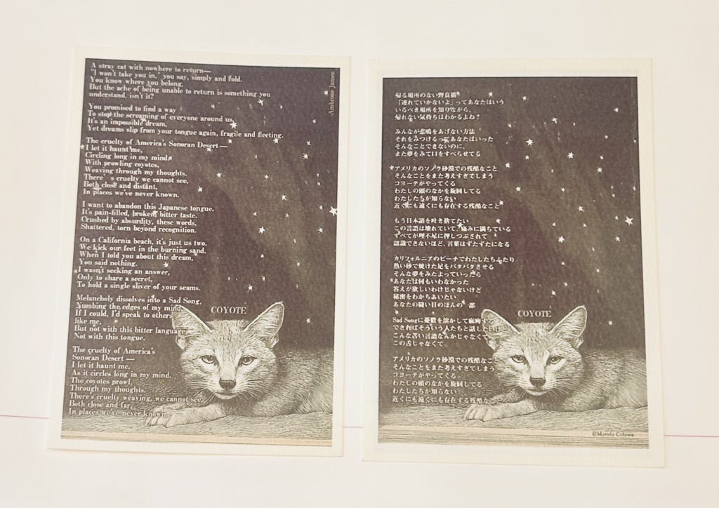 Objets trouvés 詩 ポストカード6枚セット