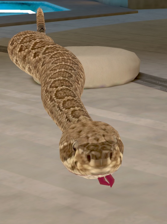 ガラガラヘビ（ratlesnake:Crotalus Linnaeus）