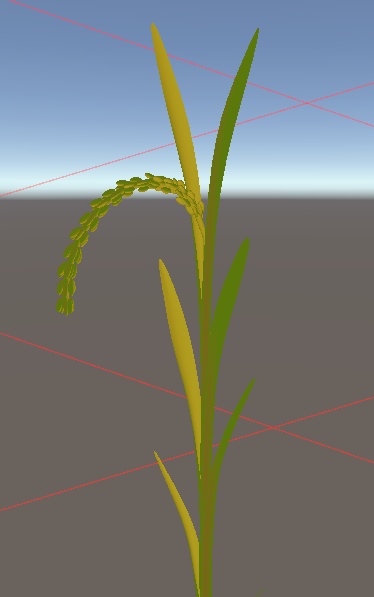 米（rice）