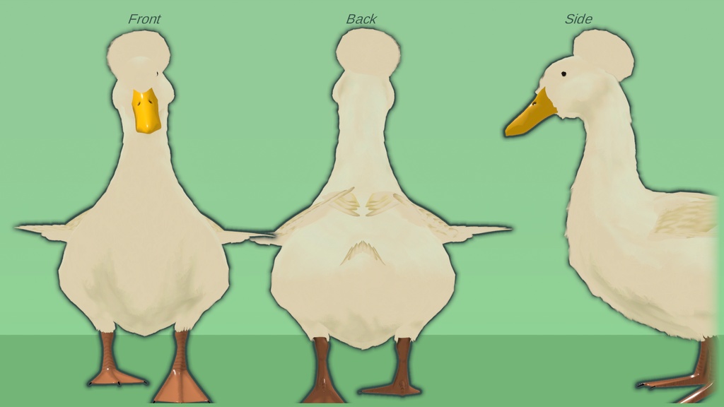 アヒル（Crested：Anas platyrhynchos var. domesticus. ）