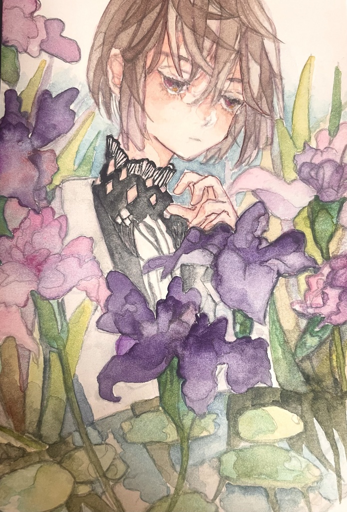 ハガキサイズ原画  菖蒲