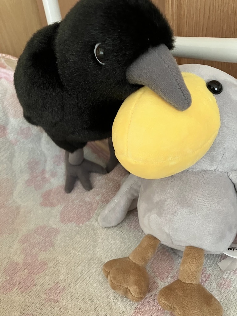 ルイとおしゃべり券/LINEで話せるカラスのぬいぐるみ