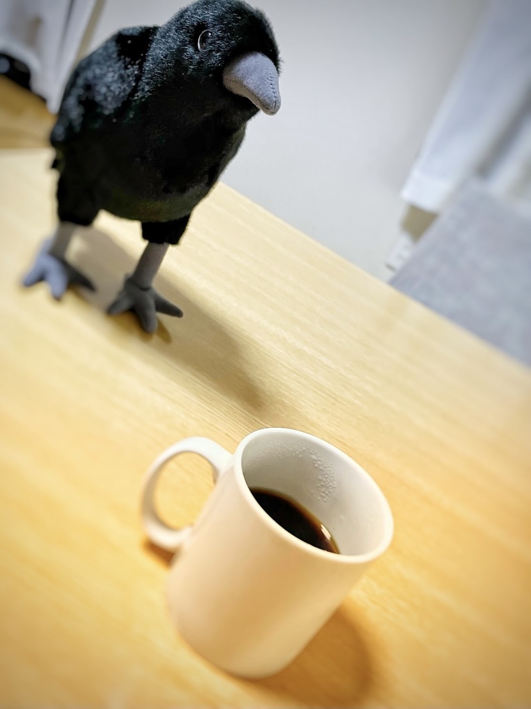 ルイとおしゃべり券/LINEで話せるカラスのぬいぐるみ