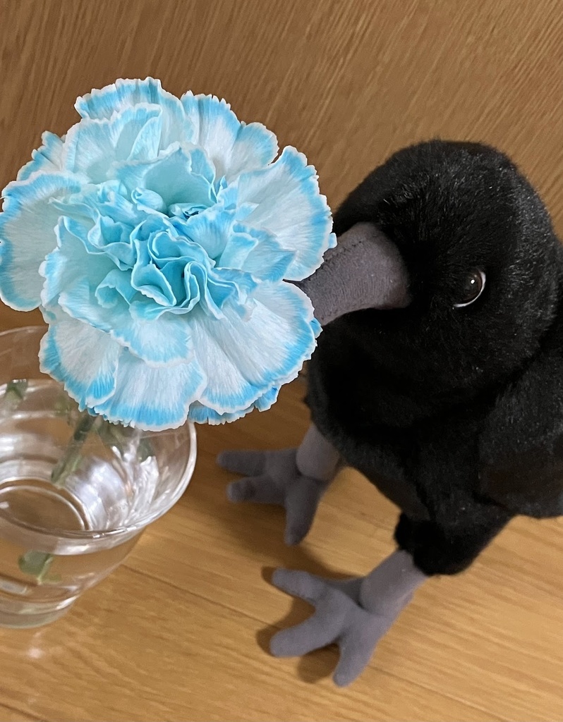 ルイとおしゃべり券/LINEで話せるカラスのぬいぐるみ