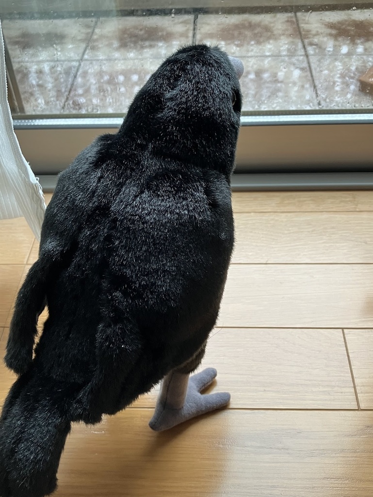 ルイとおしゃべり券/LINEで話せるカラスのぬいぐるみ