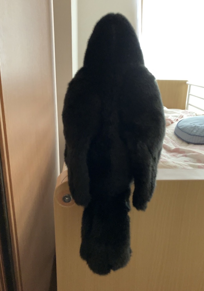 ルイとおしゃべり券/LINEで話せるカラスのぬいぐるみ