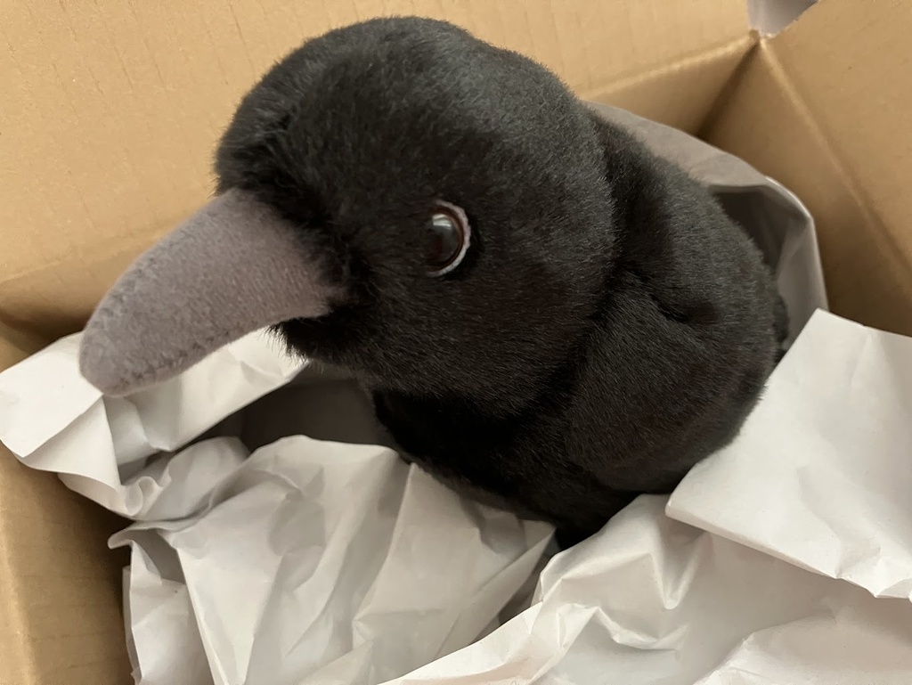 ルイとおしゃべり券/LINEで話せるカラスのぬいぐるみ