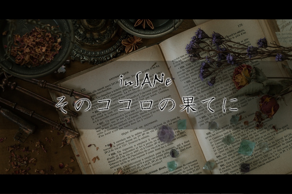 【inSANe】そのココロの果てに