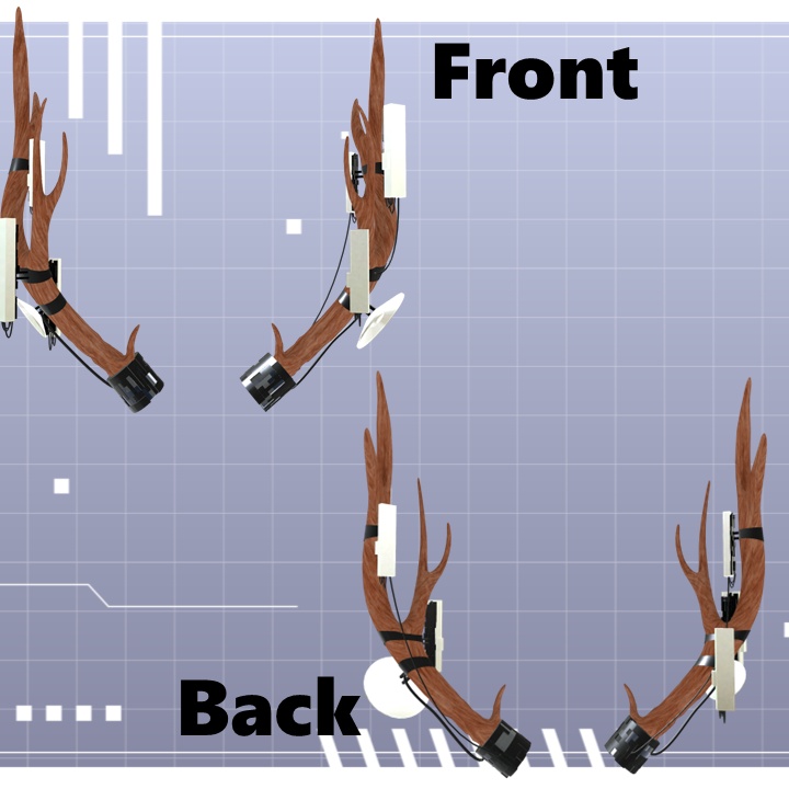 Antenna Horn