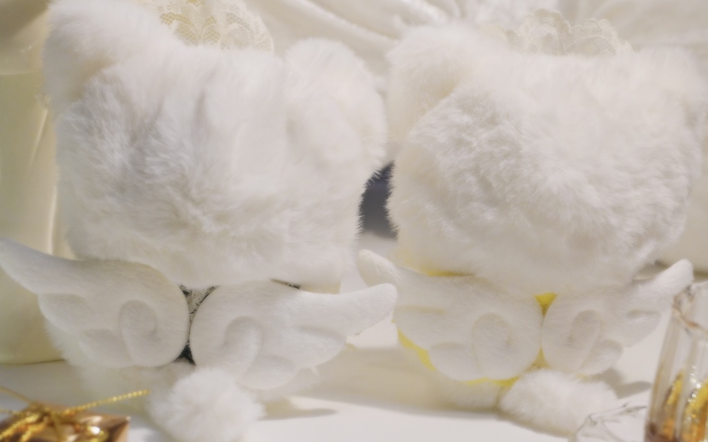 Sweets fairy cat 着ぐるみ