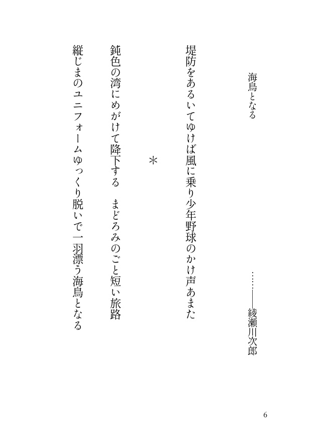 海鳥となる【9/1無配付き】
