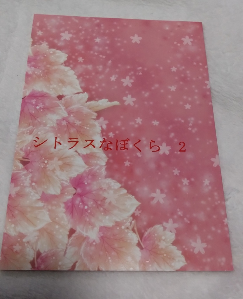 シトラスなぼくら②