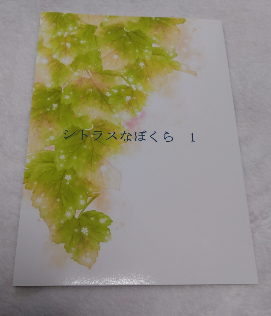 シトラスなぼくら①