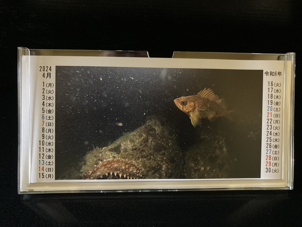2024年うおみオンラインカレンダー