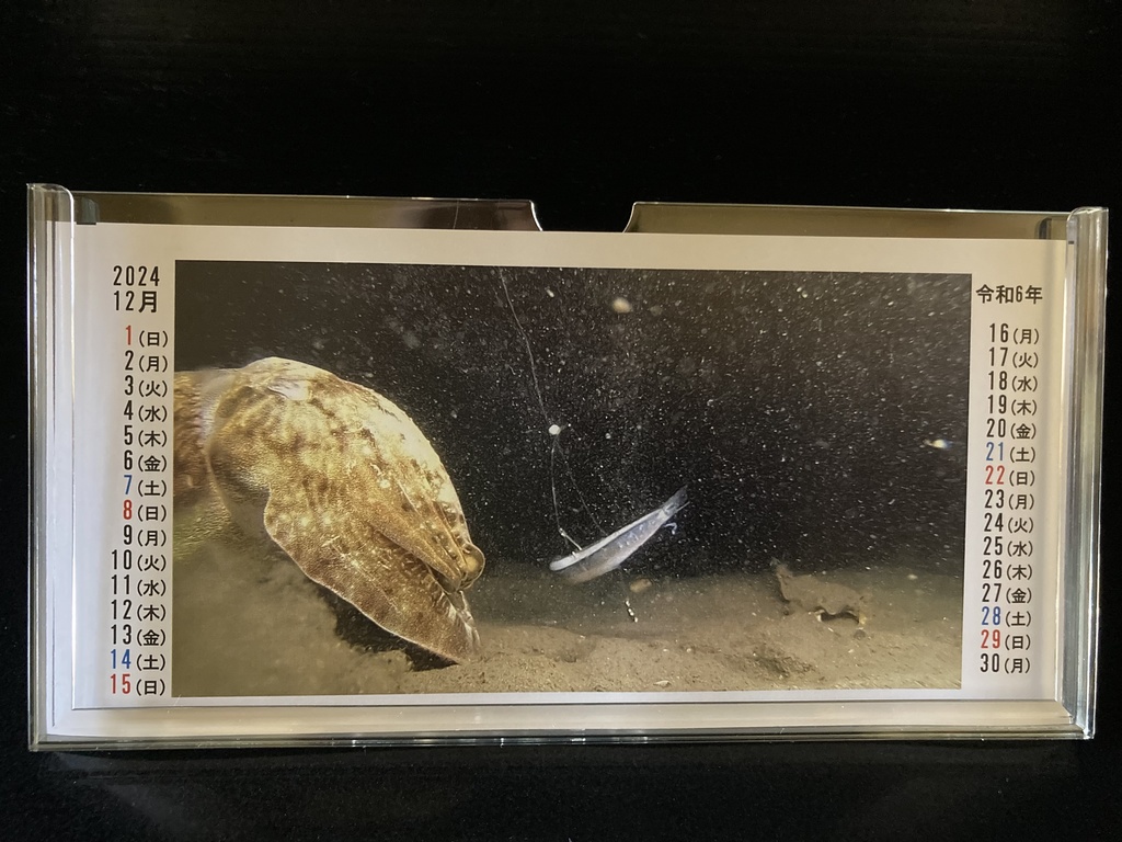 2024年うおみオンラインカレンダー