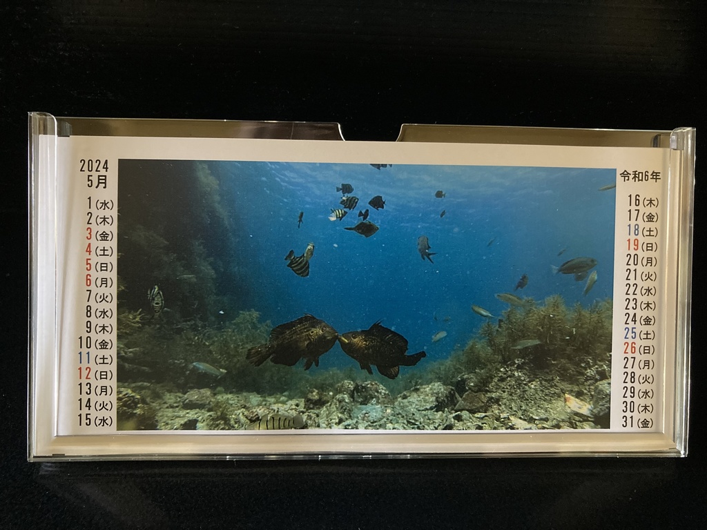 2024年うおみオンラインカレンダー