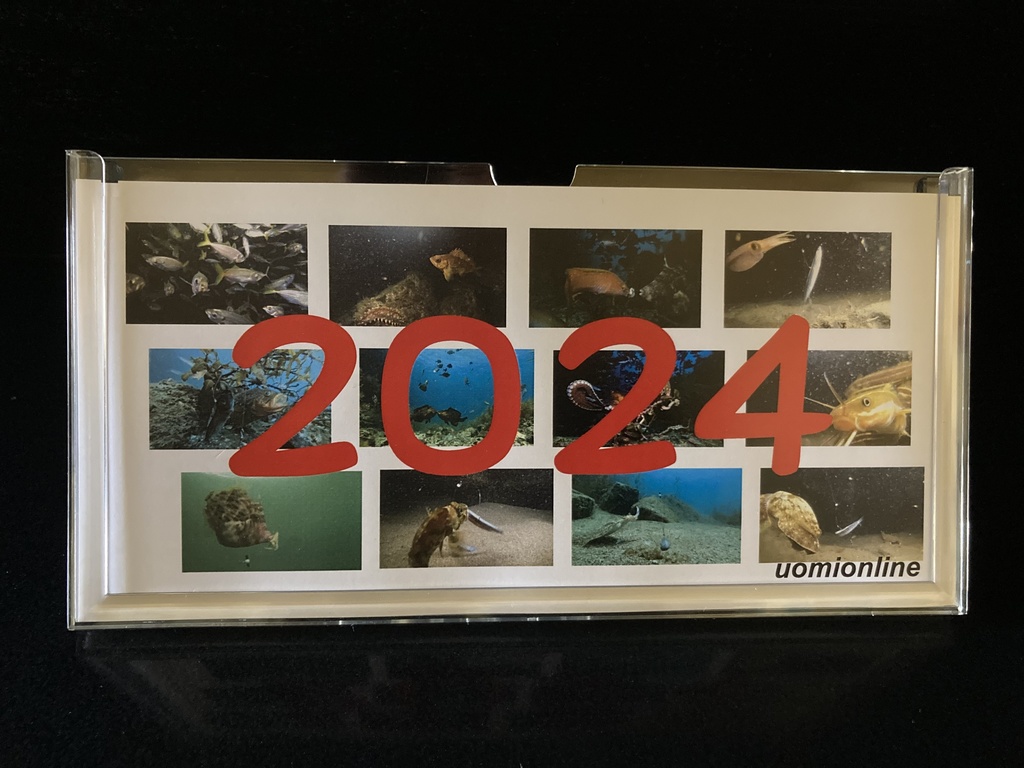 2024年うおみオンラインカレンダー