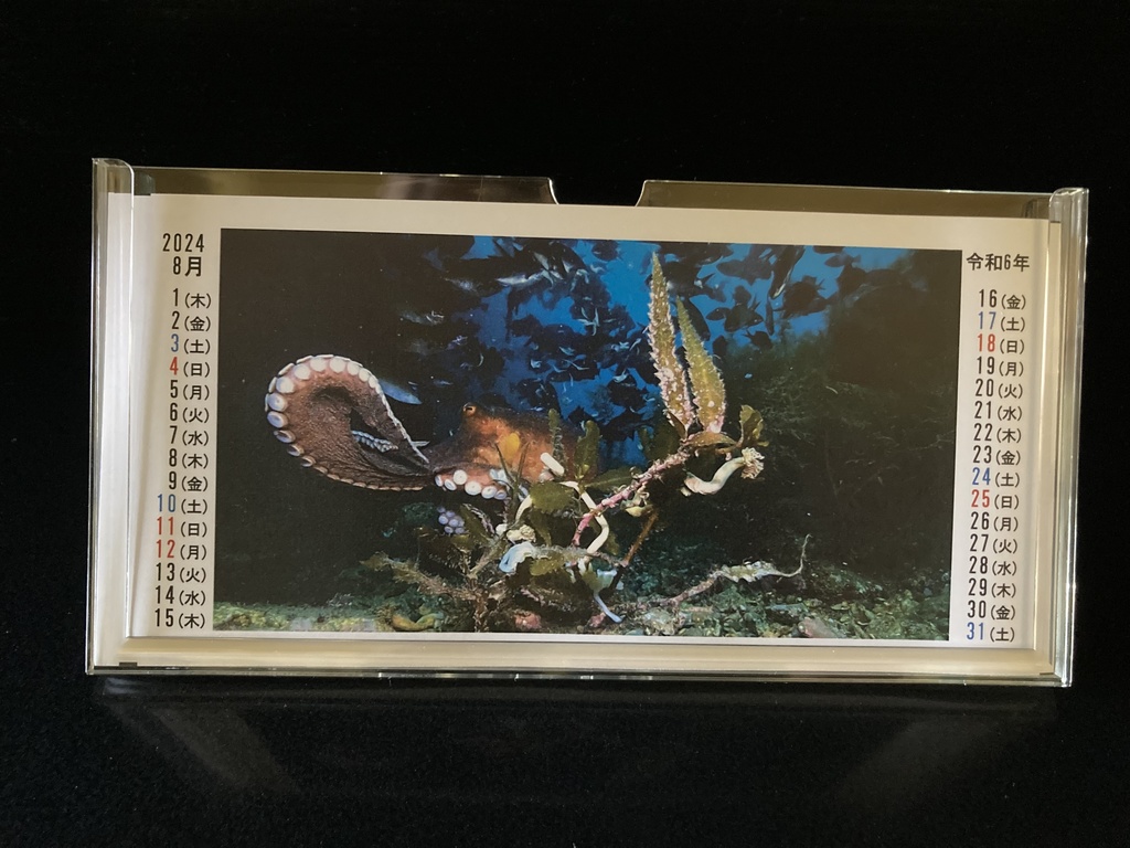 2024年うおみオンラインカレンダー