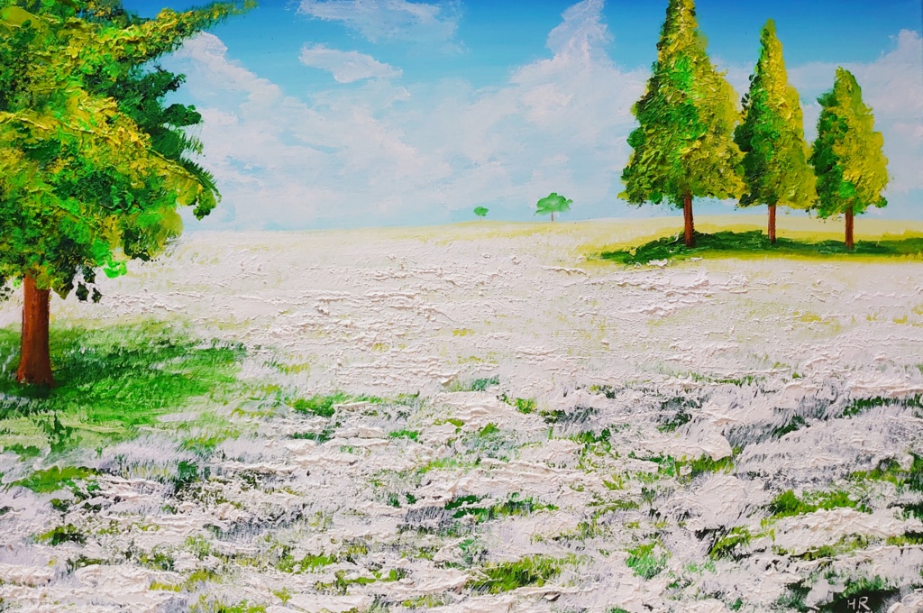 油絵 絵画 咲いた白の広場【A3】