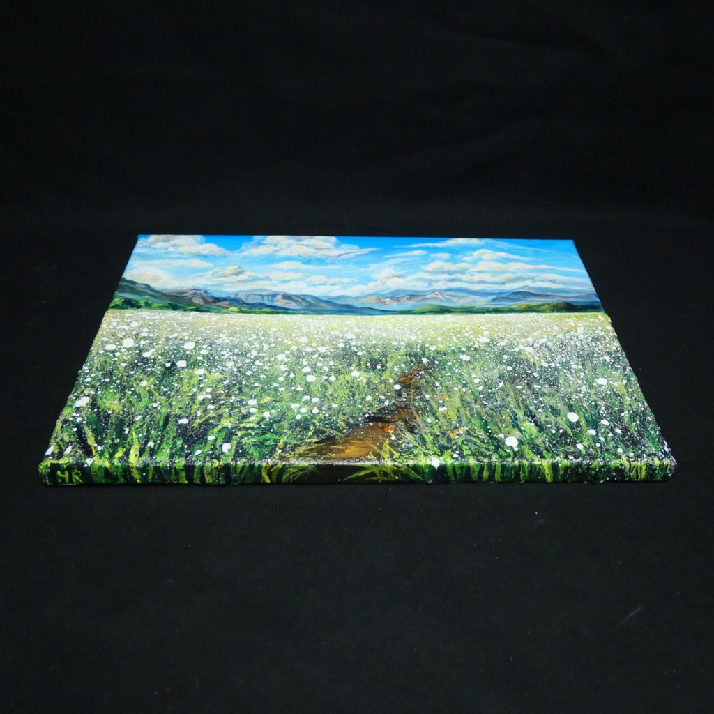 風がそよぐ白いじゅうたん * 油絵風景画 F4サイズ原画 / さわやかな風と白い花の一点物アート(春夏インテリア)