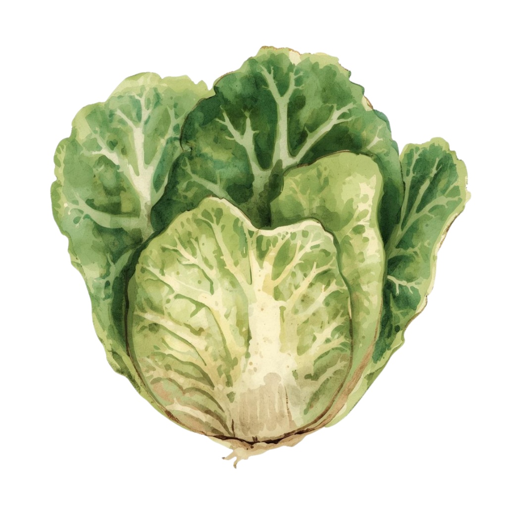 水彩風 野菜シリーズ イラストセット(全10種)|アンティーク調・可愛いクリップアート(PNG)