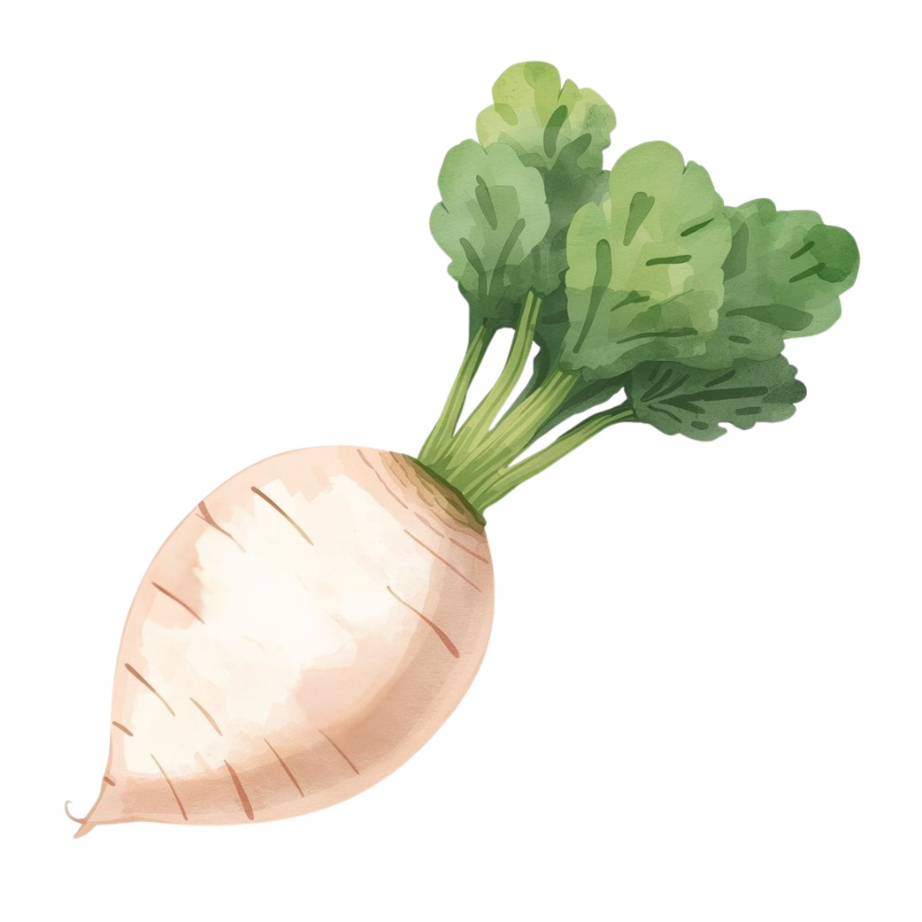 水彩風 野菜シリーズ イラストセット(全10種)|アンティーク調・可愛いクリップアート(PNG)