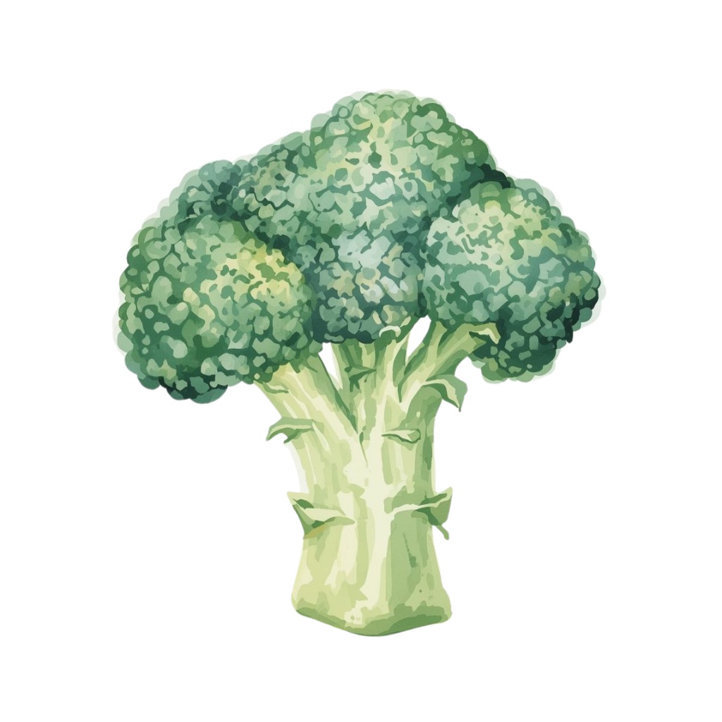 水彩風 野菜シリーズ イラストセット(全10種)|アンティーク調・可愛いクリップアート(PNG)