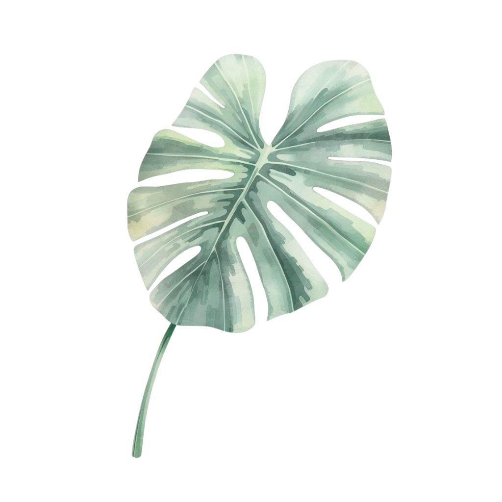 水彩風 ハーブ&植物シリーズ イラストセット(全12種)|アンティーク調・可愛いクリップアート(PNG)