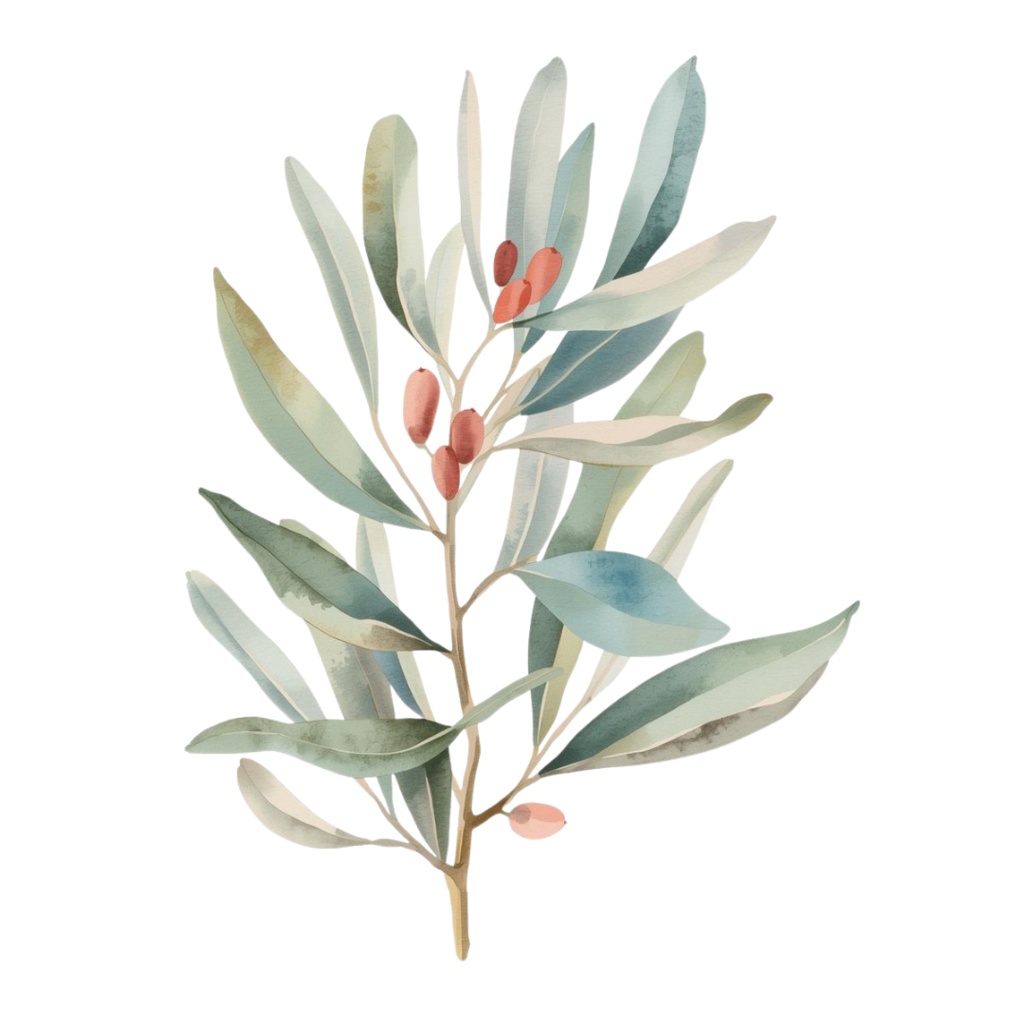 水彩風 ハーブ&植物シリーズ イラストセット(全12種)|アンティーク調・可愛いクリップアート(PNG)