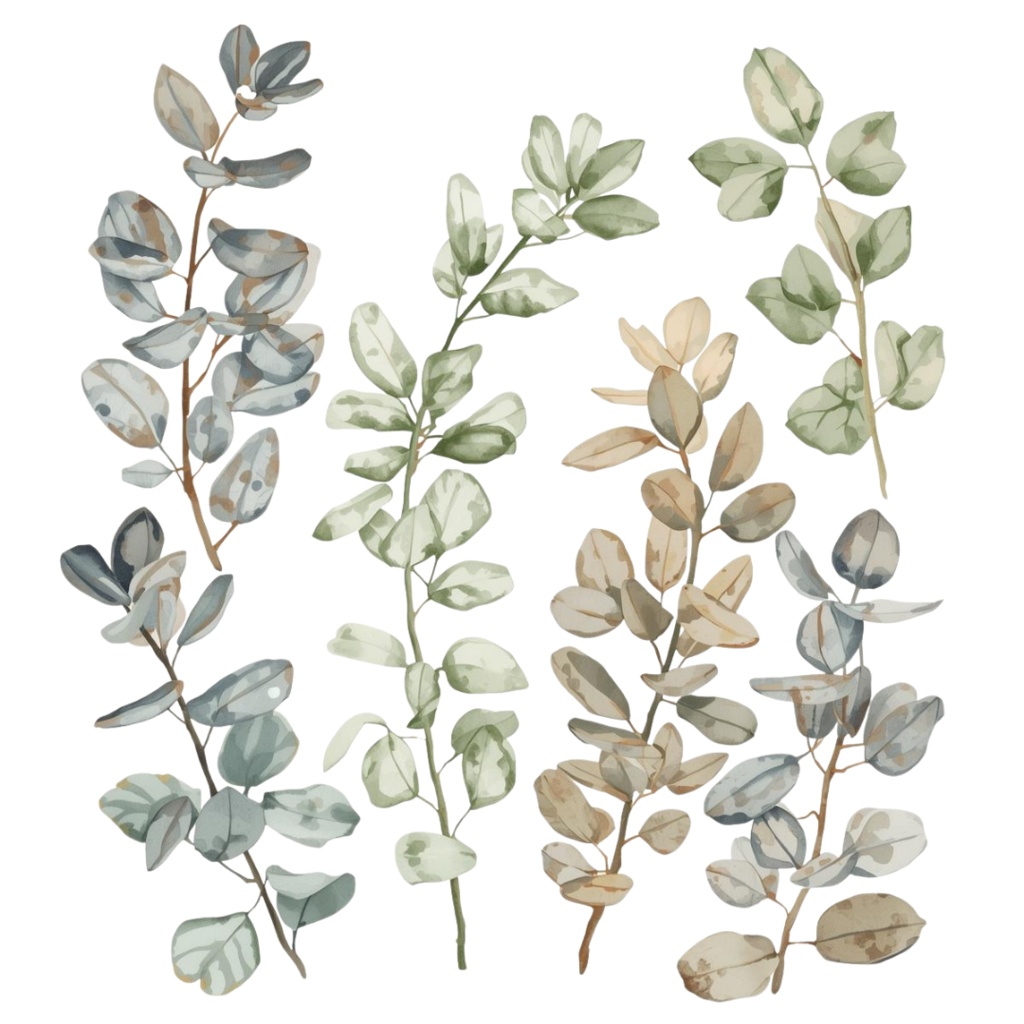 水彩風 ハーブ&植物シリーズ イラストセット(全12種)|アンティーク調・可愛いクリップアート(PNG)