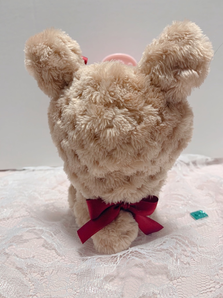 ぶりっ子くまちゃん着ぐるみ🧸