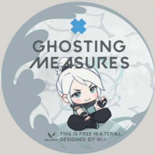 マップ隠し Valorant Jett Model Ghosting Measures