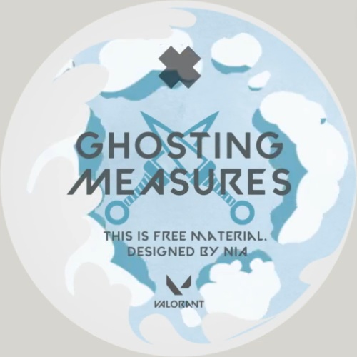 マップ隠し Valorant Jett Model Ghosting Measures