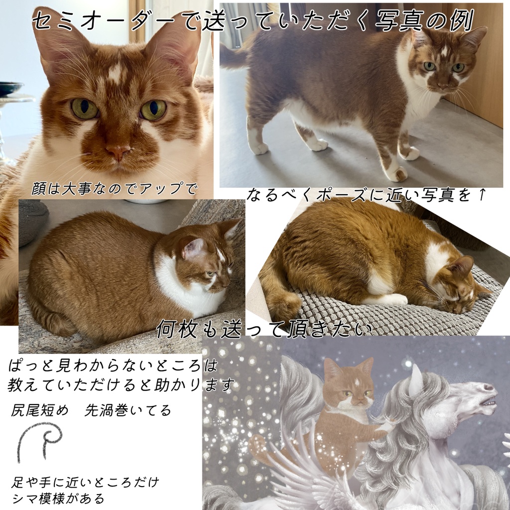 ジークレープリント木製パネル333×333×約20mm ペガサス 【月下美人 一夜】