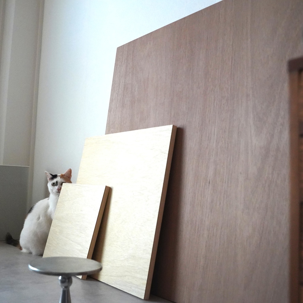 ジークレープリント木製パネル910×910×約28mm ペガサス 【月下美人 一夜】