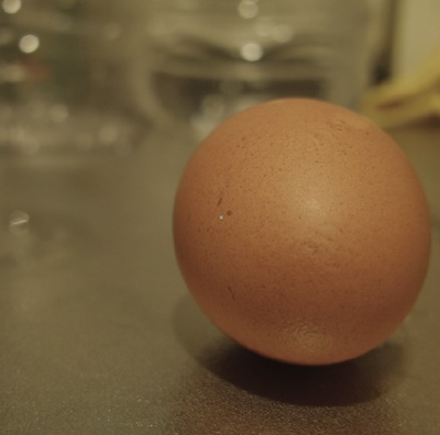 リーズンズエッグ / Reasons Egg
