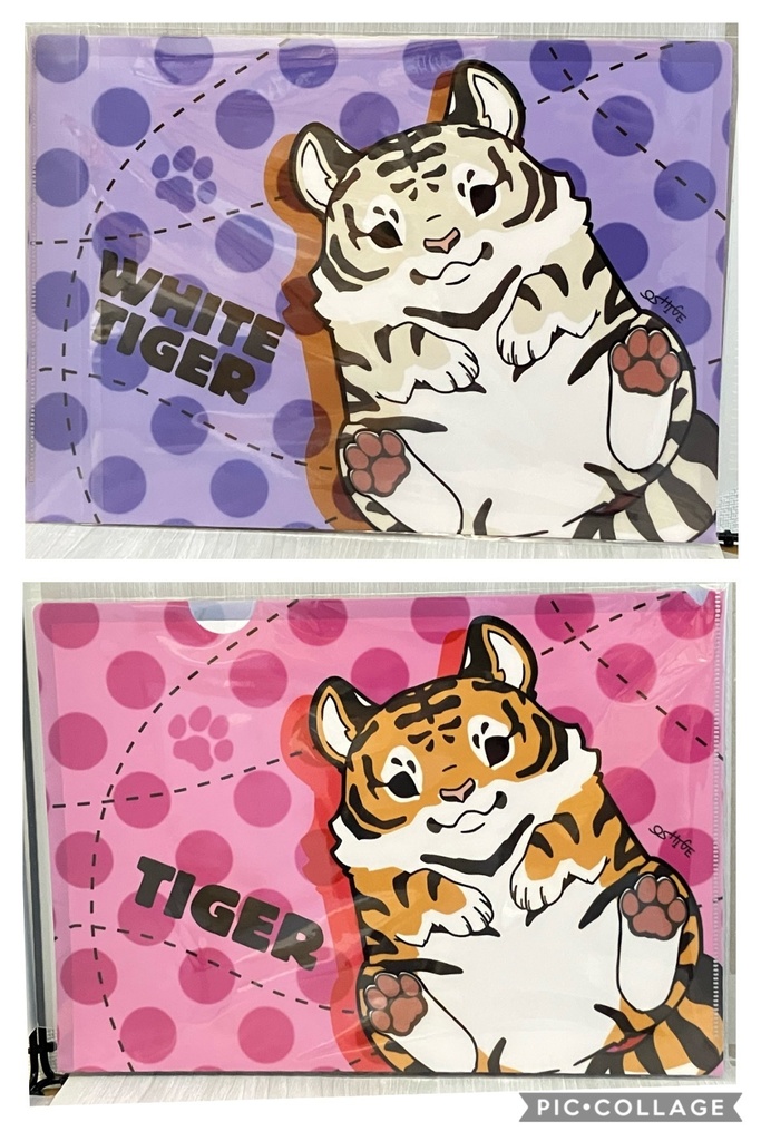 クリアファイル