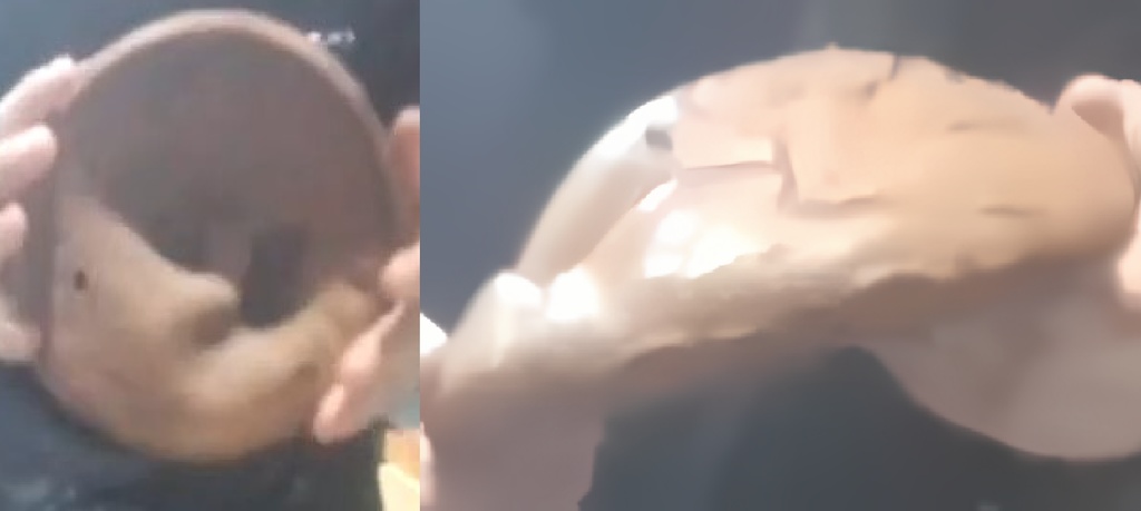 チョコレートケーキ