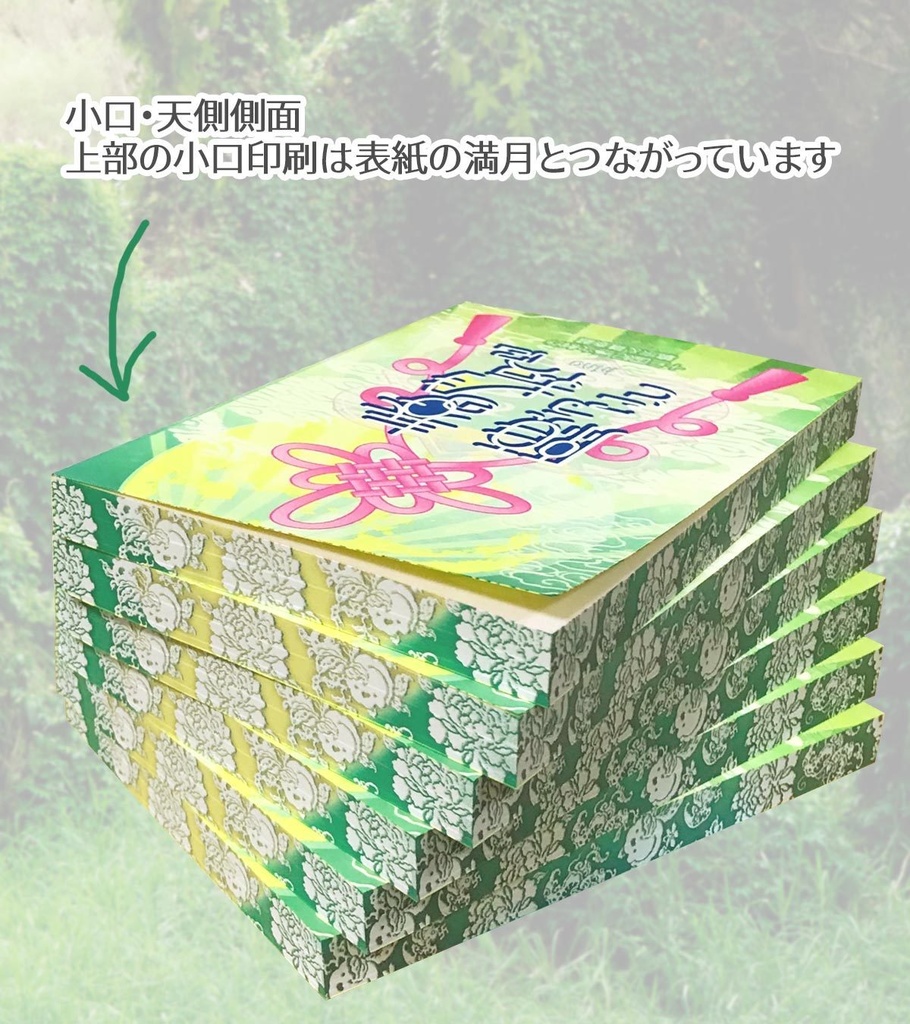 特装版「春の月夜に願うこと」