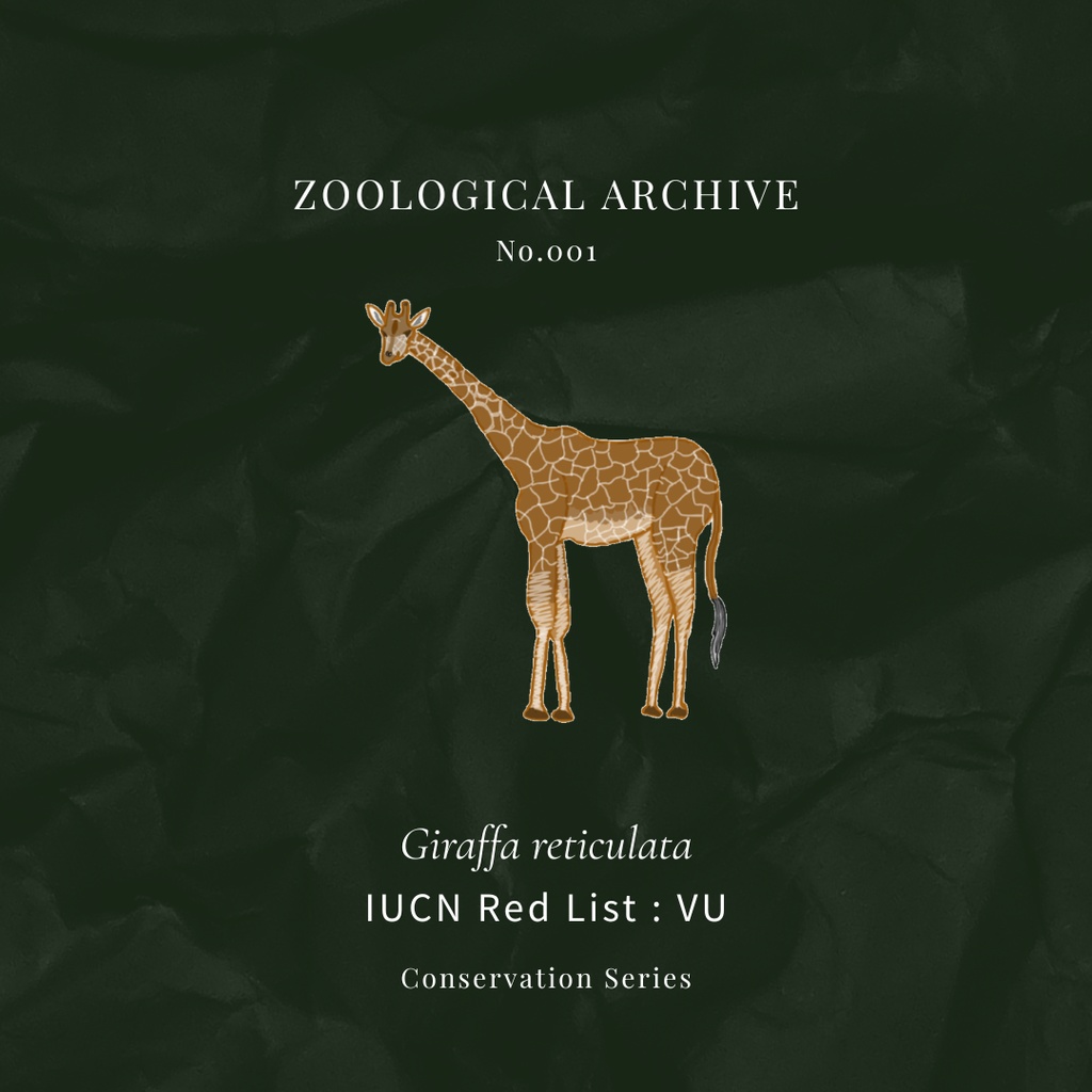 ZOOLOGICAL ARCHIVE No.001|アミメキリン 標本タグアクリルキーホルダー(50mm)