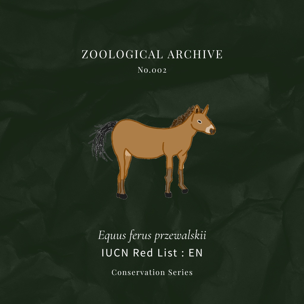 ZOOLOGICAL ARCHIVE No.002|モウコノウマ 標本タグアクリルキーホルダー(50mm)