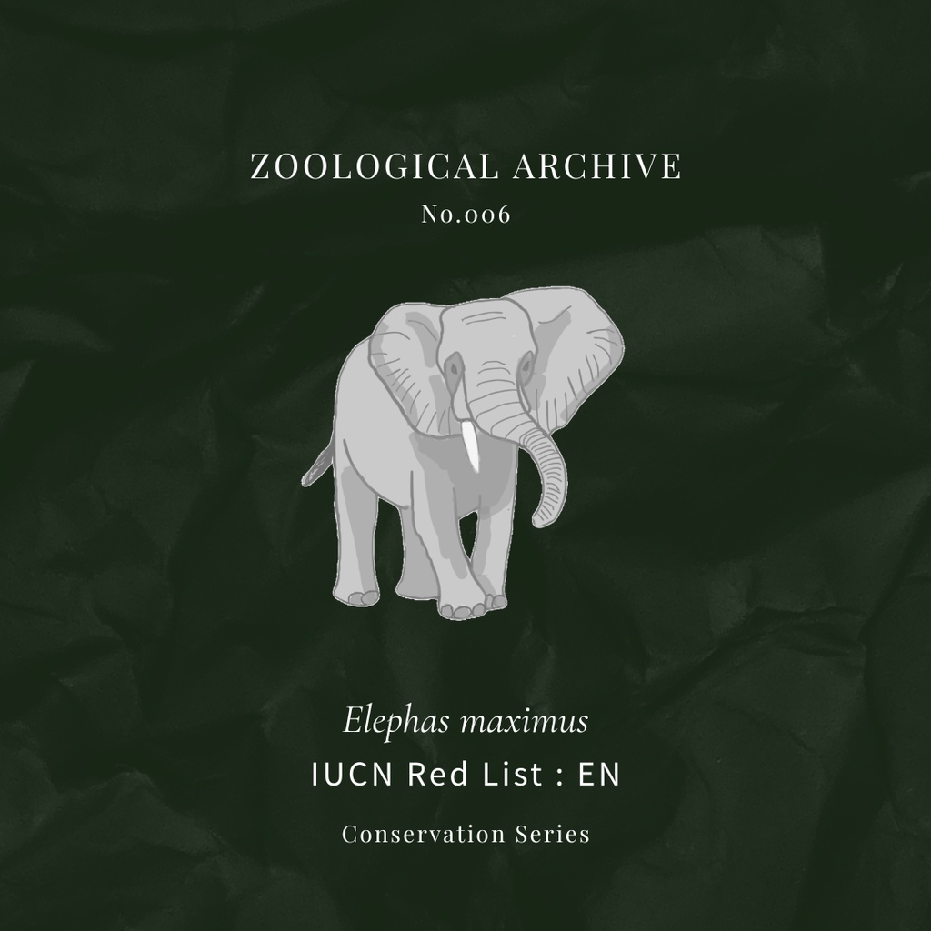 ZOOLOGICAL ARCHIVE No.006|アジアゾウ 標本タグアクリルキーホルダー(50mm)