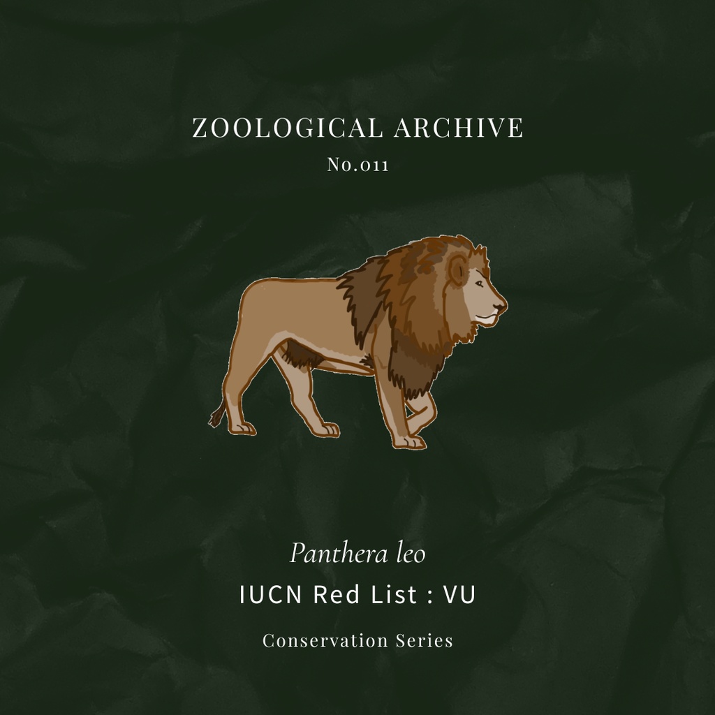 ZOOLOGICAL ARCHIVE No.011|ライオン 標本タグアクリルキーホルダー(50mm)