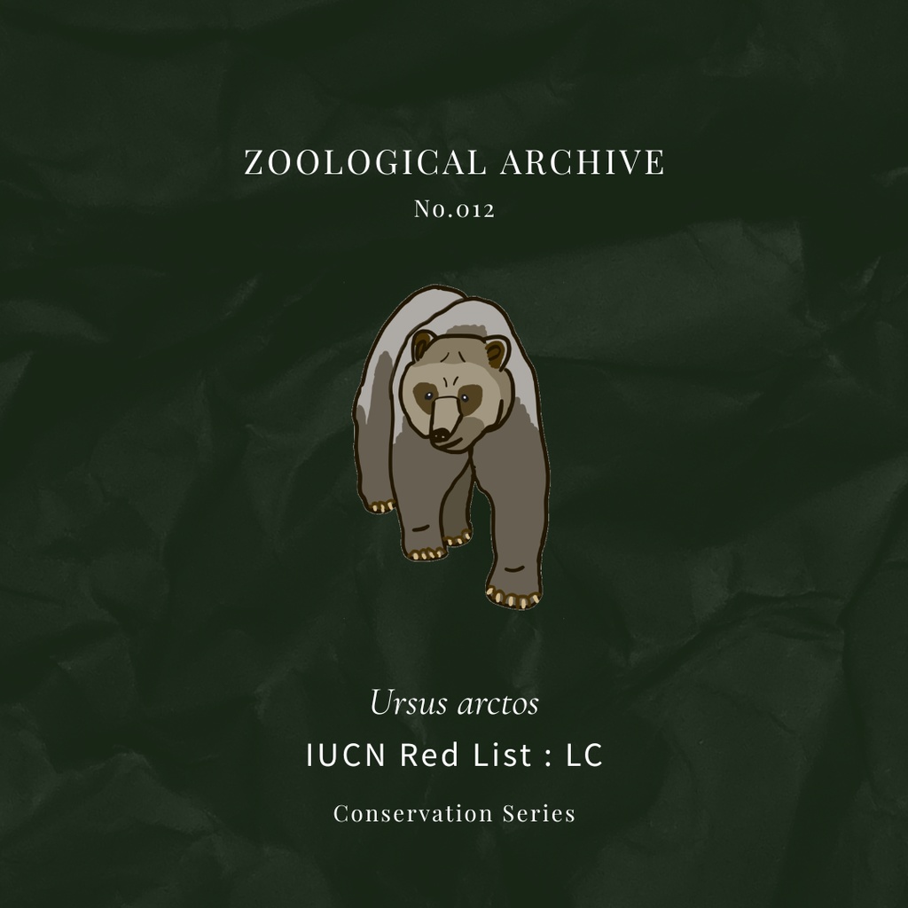 ZOOLOGICAL ARCHIVE No.012|ヒグマ 標本タグアクリルキーホルダー(50mm)