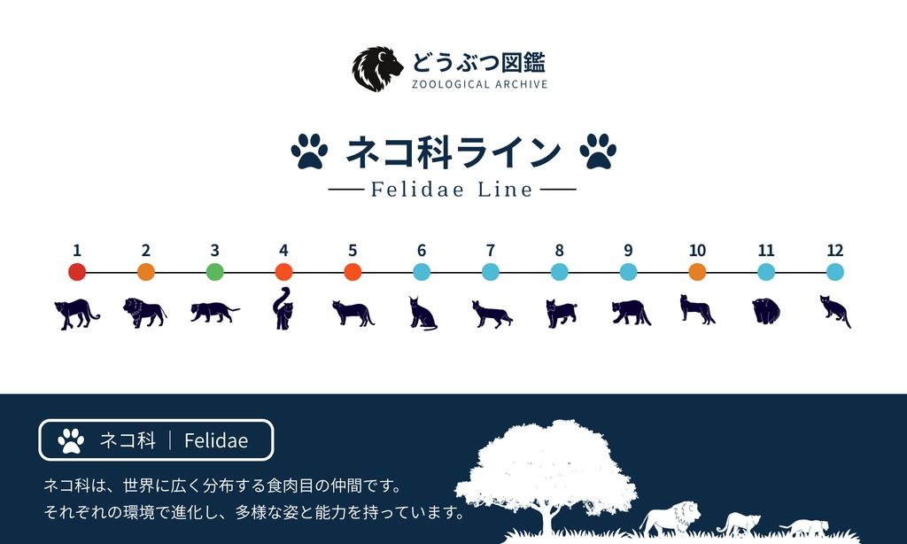 Felidae Line|ネコ科コレクション(全12種)
