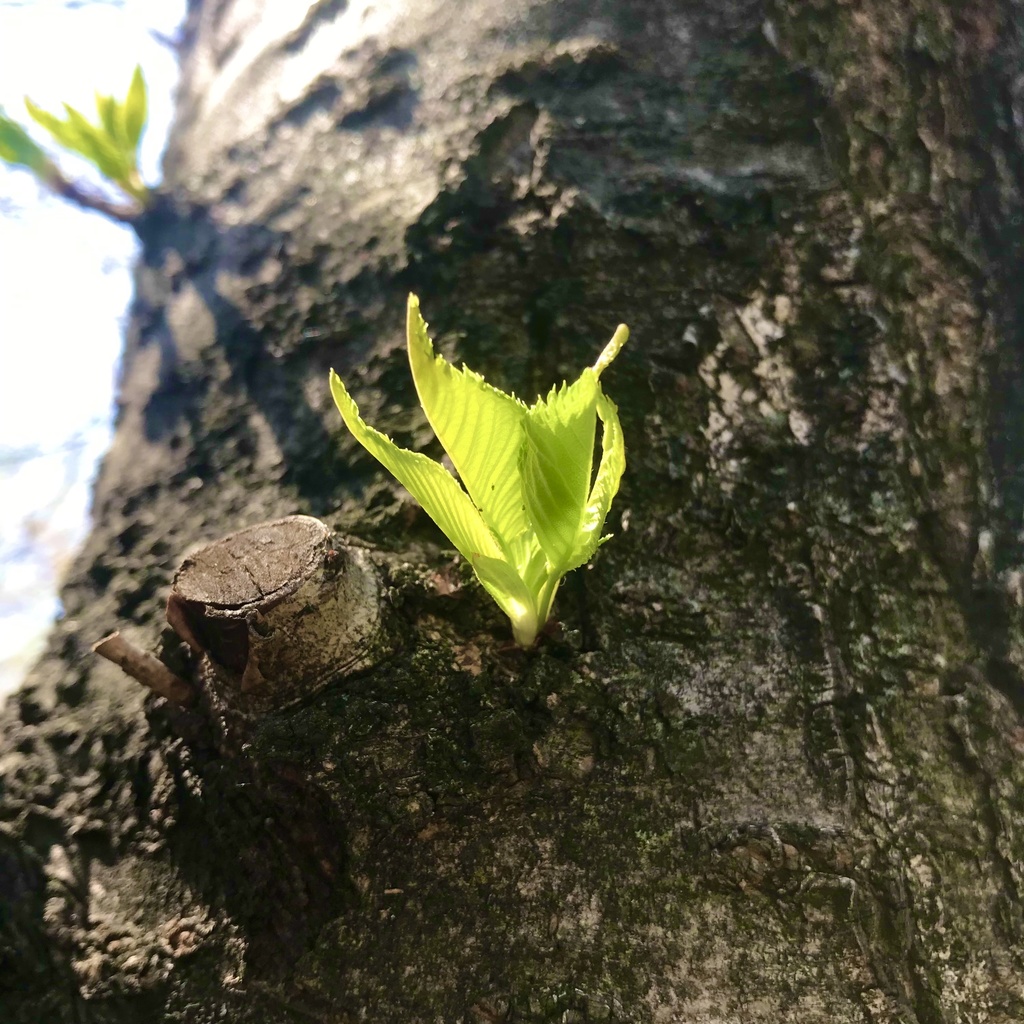 夢を見てた時は過ぎて