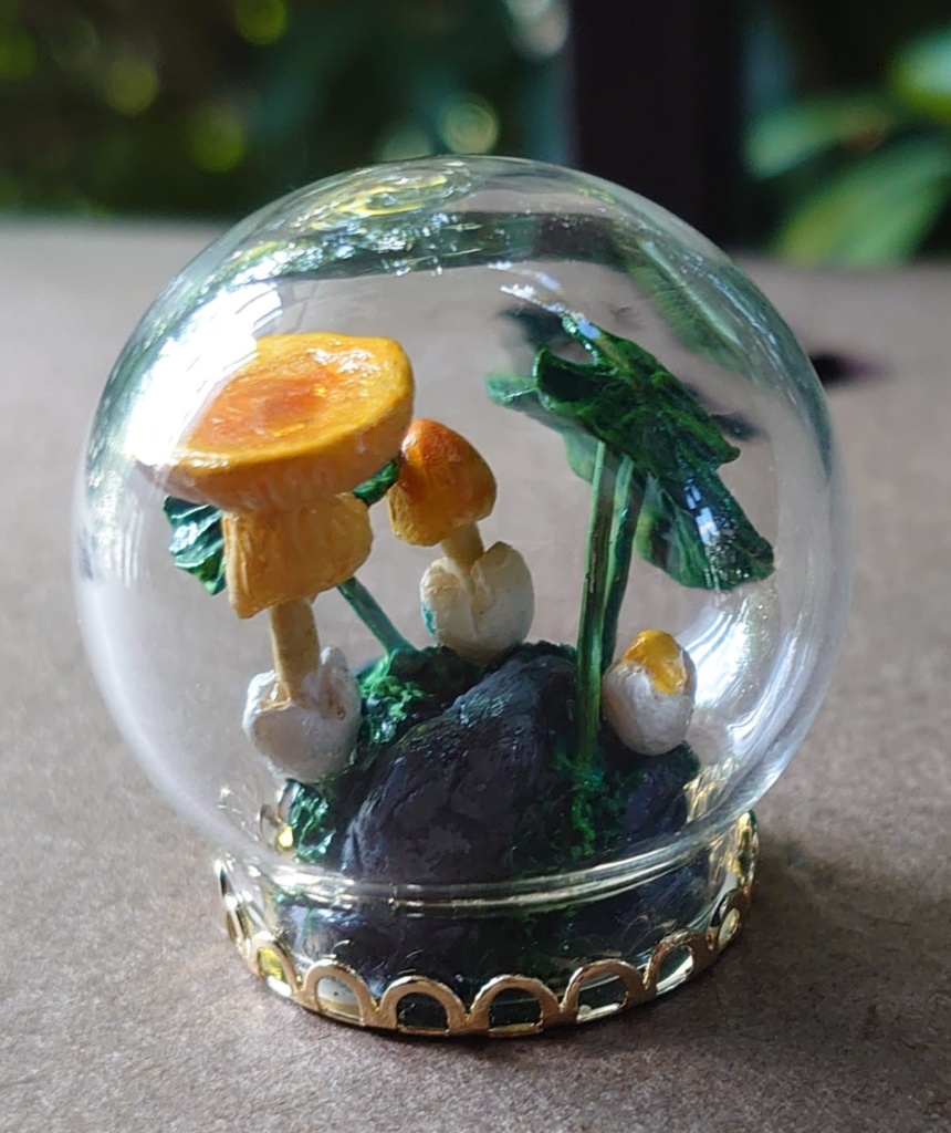 タマゴタケモドキのテラリウム