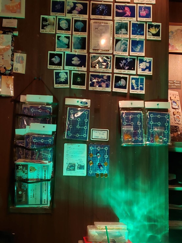 2人用ボードゲーム『ふえるくらげちゃんゲーム』 複雑度★★☆☆☆ オヨット作