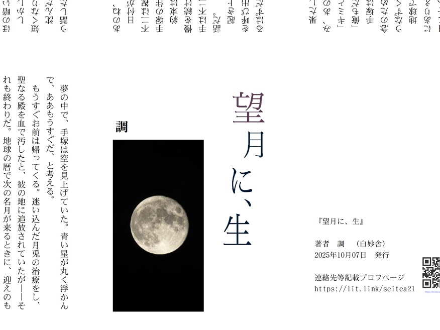 『マイ・ライト』(SS名刺/折り本『望月に、生』付き)