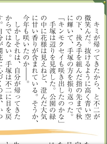 『マイ・ライト』(SS名刺/折り本『望月に、生』付き)
